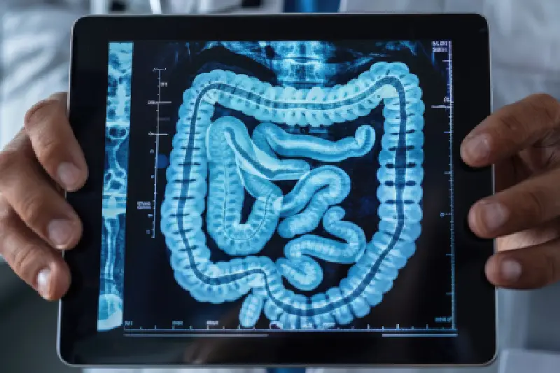 Prof. Dr. Resul Kahraman