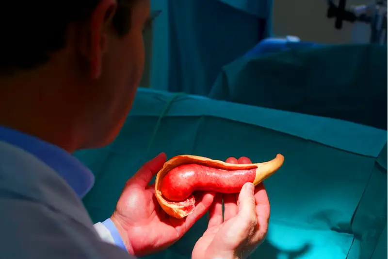 Prof. Dr. Resul Kahraman