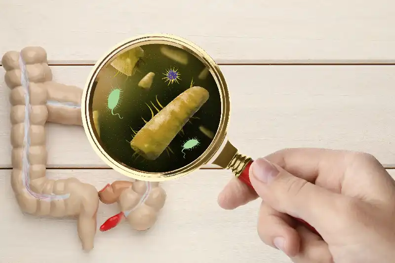 Prof. Dr. Resul Kahraman