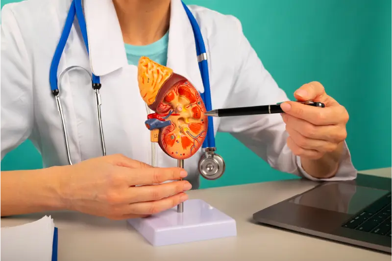 Prof. Dr. Resul Kahraman